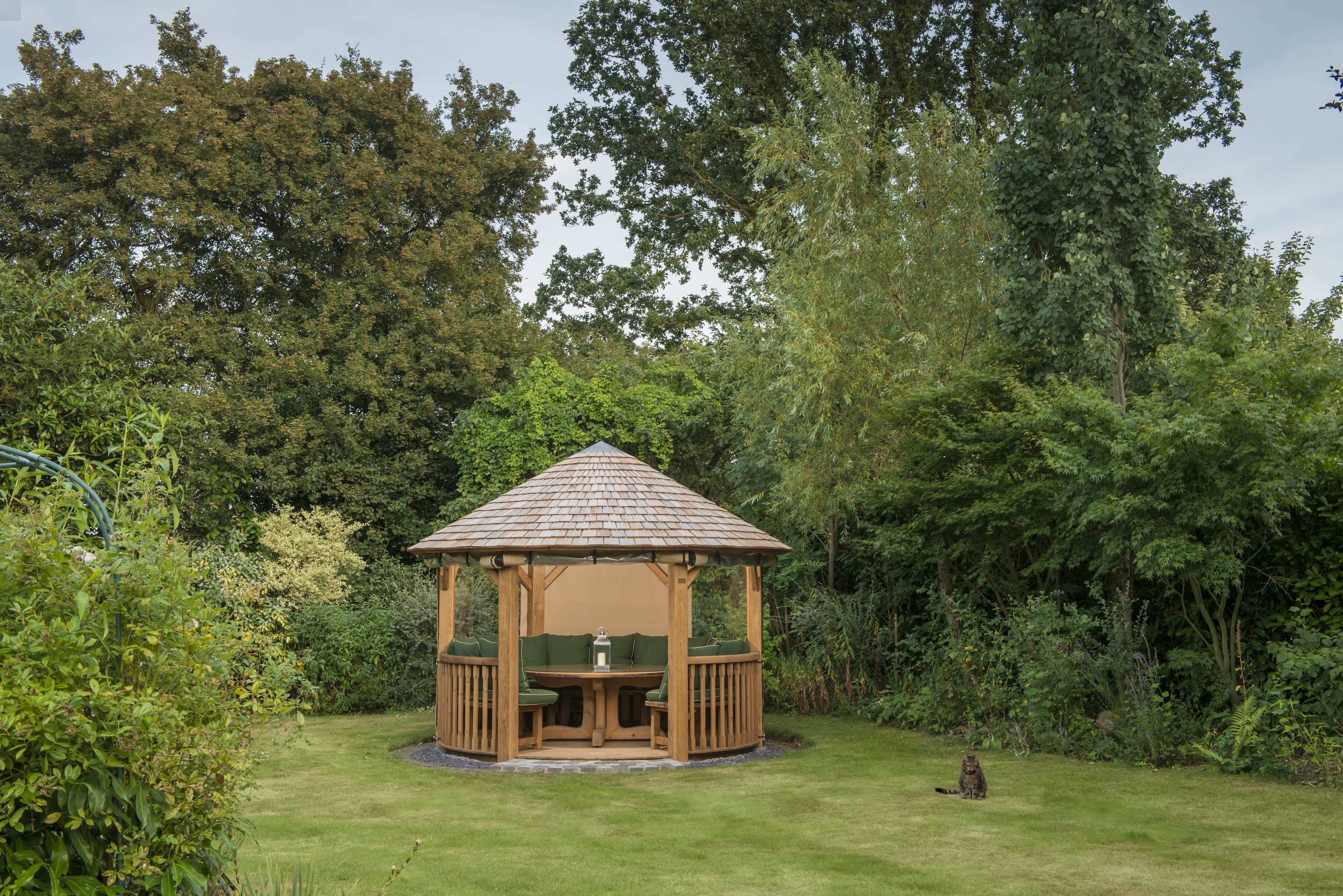 Professional Package