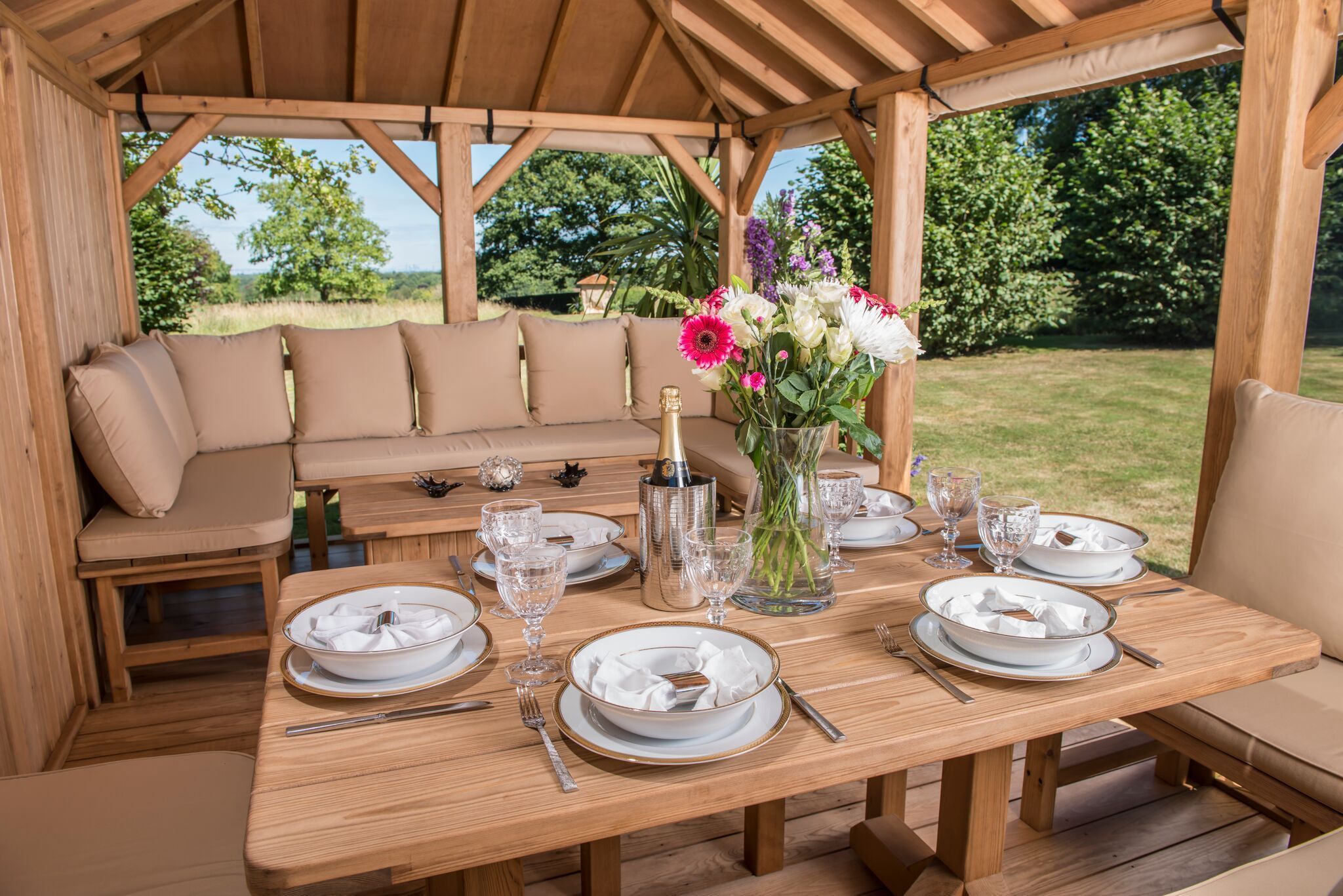 Professional Package