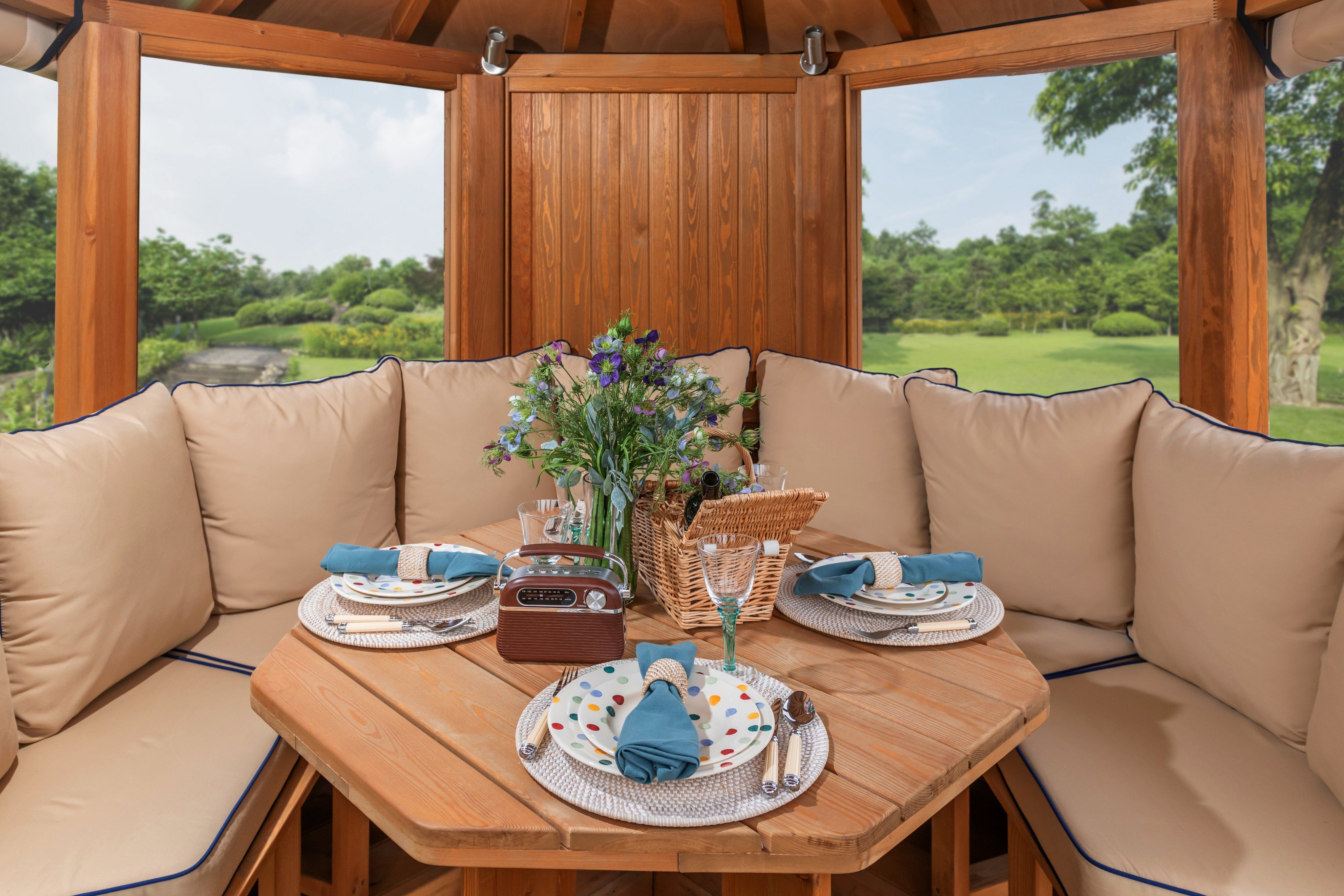 Professional Package