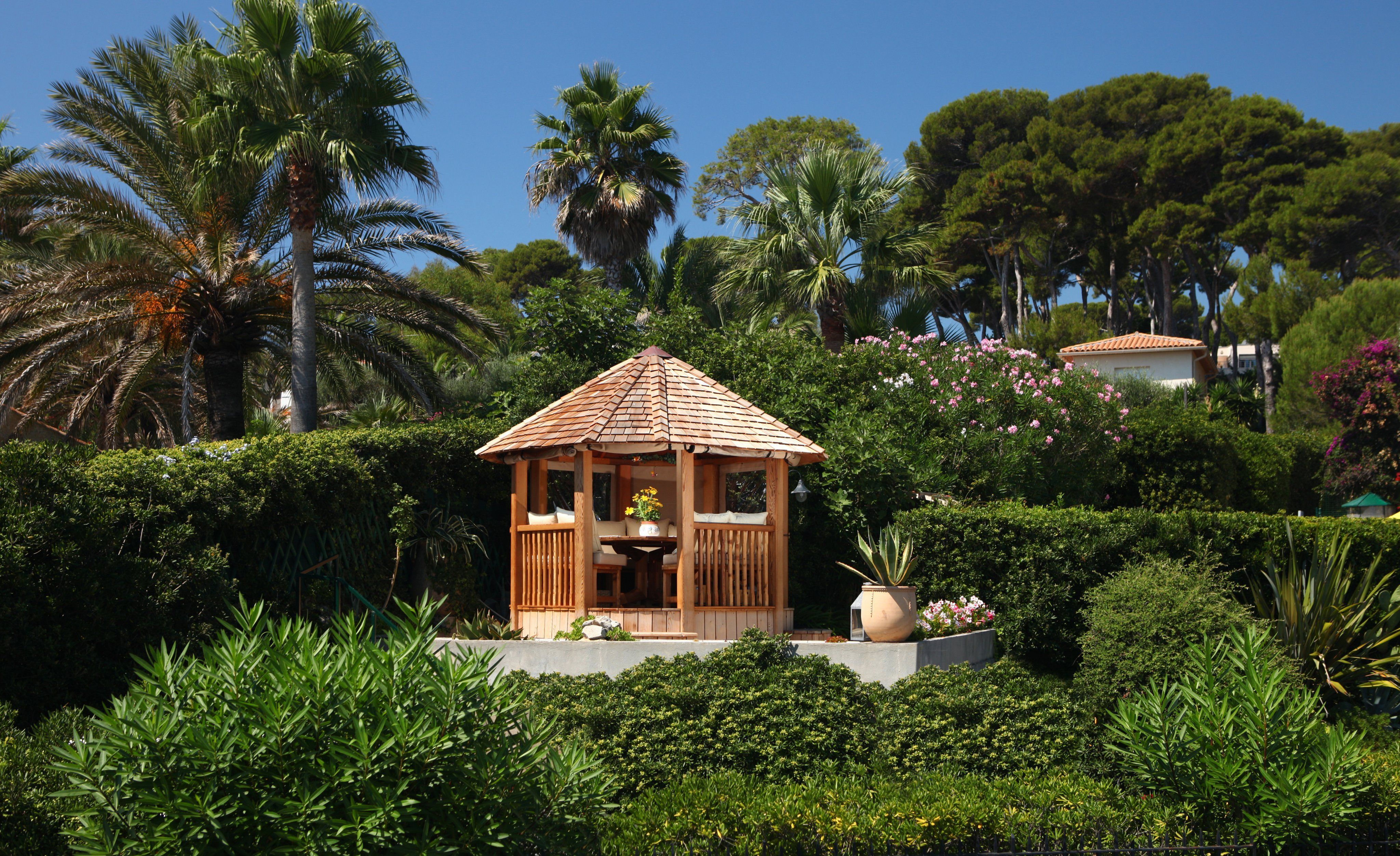 Crown Wolsey in a garden setting